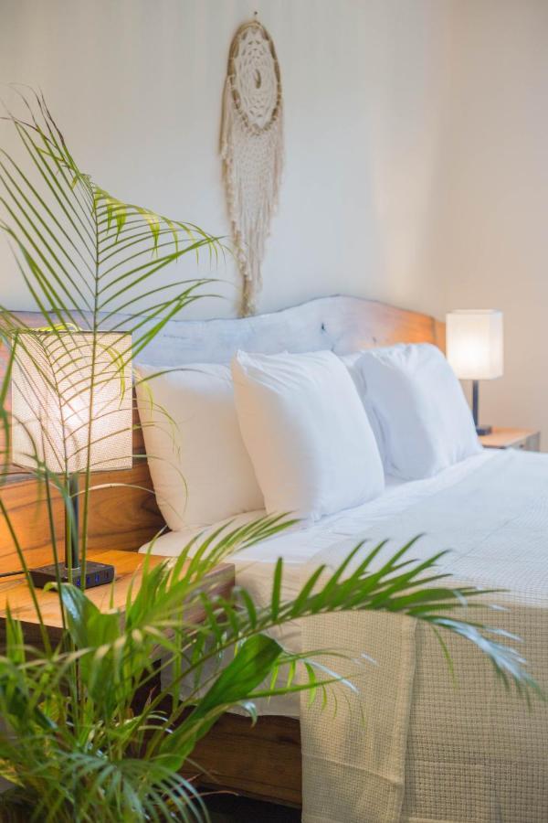 Hotel Maculan Valladolid  Zewnętrze zdjęcie